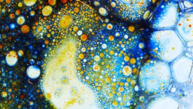 The most recent scientific breakthroughs