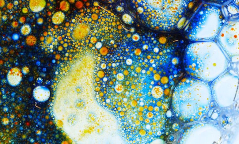 The most recent scientific breakthroughs The most recent scientific breakthroughs