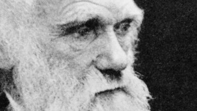 Charles Darwin: Evolution and the story of our species