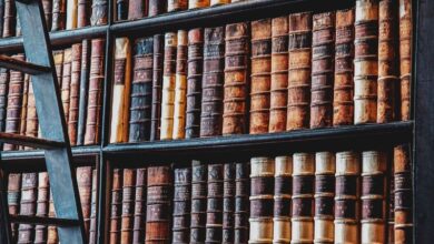 Building a Scientific Narrative | The Scientist Magazine®