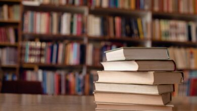 These Are Local Libraries’ Most Borrowed Books of 2024