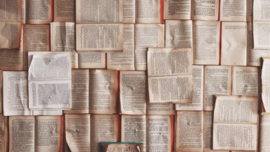 Literary Hub » If You’re Struggling to Write, Lead with Voice