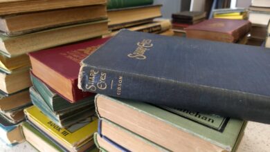 Most popular books at the Detroit Lakes library – Detroit Lakes Tribune