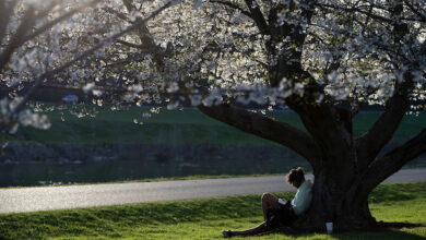 Spring Literary Festival 2025 to feature renowned authors, including Jennifer Egan
