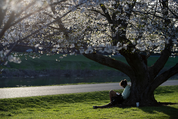 Spring Literary Festival 2025 to feature renowned authors, including Jennifer Egan Spring Literary Festival 2025 to feature renowned authors, including Jennifer Egan