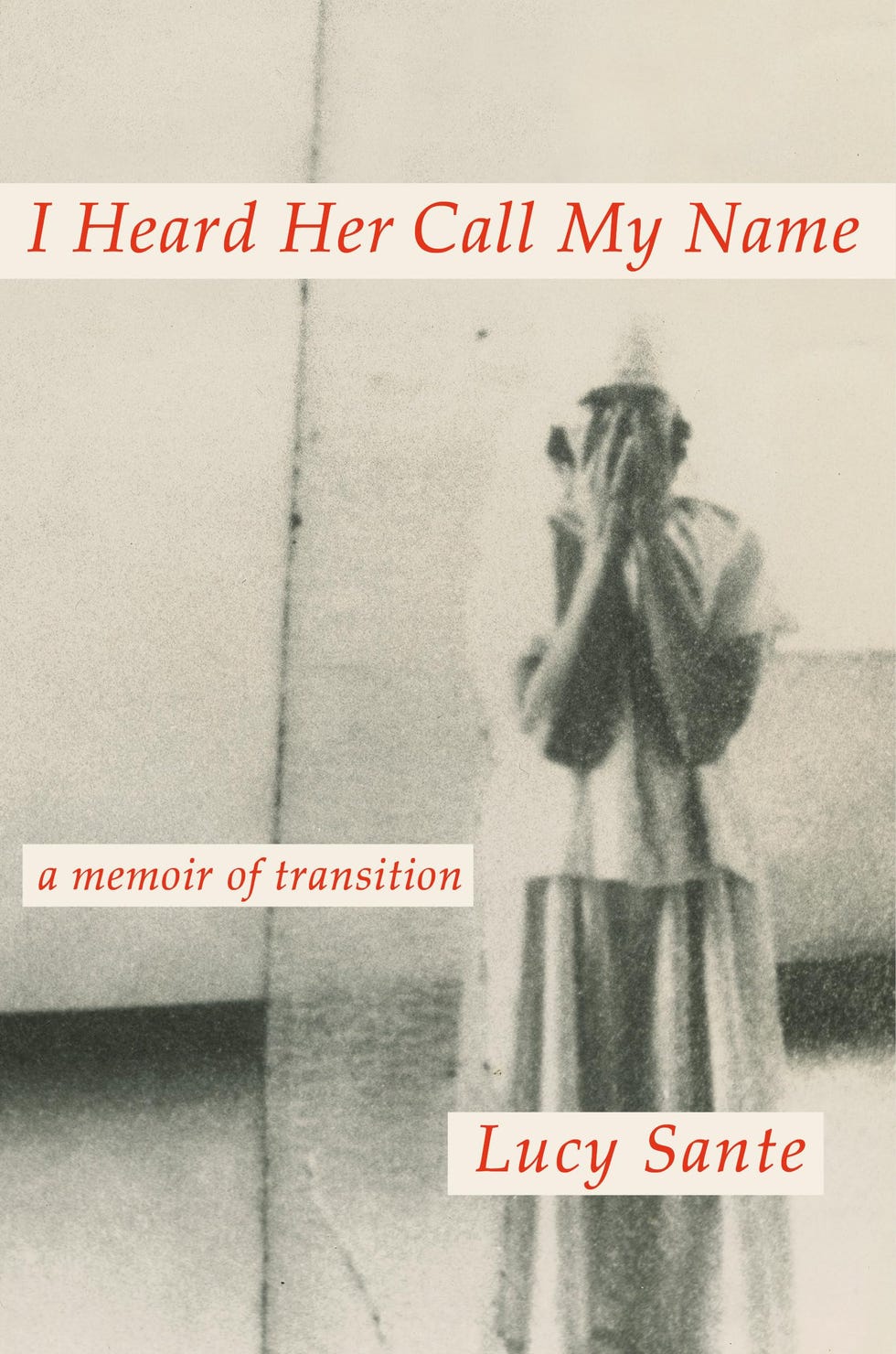 <i>I Heard Her Call My Name: A Memoir of Transition</i> by Lucy Sante