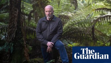 Richard Flanagan: ‘When I reread Evelyn Waugh’s Scoop it had corked badly’ | Richard Flanagan