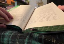 ‘Wicked’ author releases new novel, hints at future projects ‘Wicked’ author releases new novel, hints at future projects