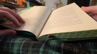 ‘Wicked’ author releases new novel, hints at future projects ‘Wicked’ author releases new novel, hints at future projects