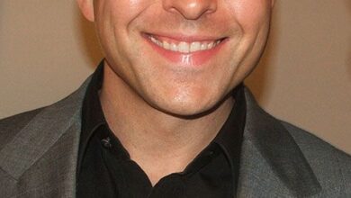 David Walliams | Biography, TV Series, Books, & Facts