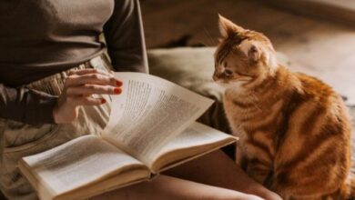 The Most Read Books on Goodreads in September 2025 The Most Read Books on Goodreads in September 2025