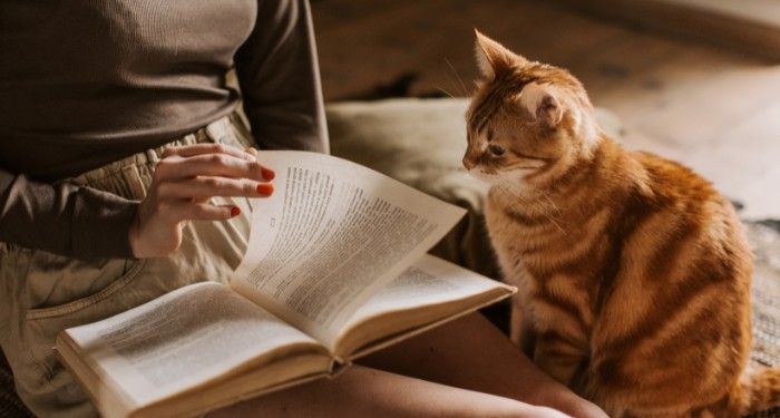 The Most Read Books on Goodreads in September 2025 The Most Read Books on Goodreads in September 2025
