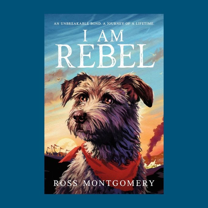 The Best Books Of 2025, According To Barnes & Noble And Amazon I Am Rebel 