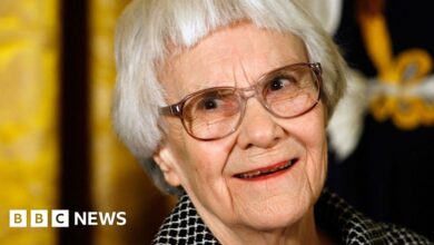 Harper Lee’s newly found stories show her ‘genius’, say her family Harper Lee’s newly found stories show her ‘genius’, say her family