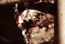 The Evolution of Creepypasta Art: How Creators Are Bringing Horror to Life